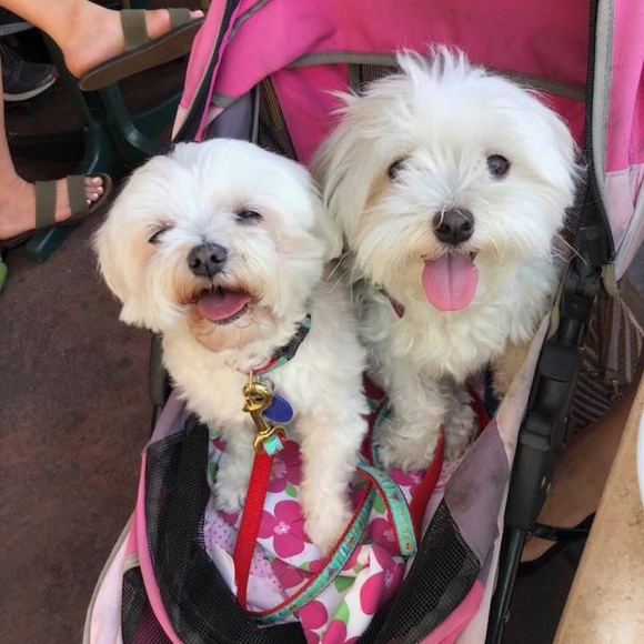 Meet your Posher, Rich - Picture 1 of 1